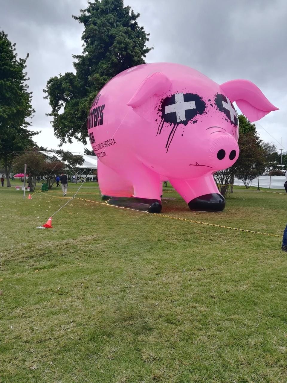 El festival que también creció conmigo